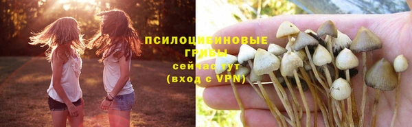 экстази Арсеньев