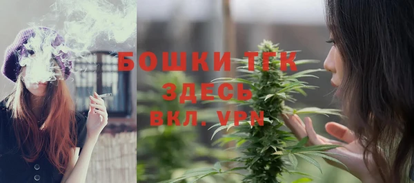 Альфа ПВП Аркадак