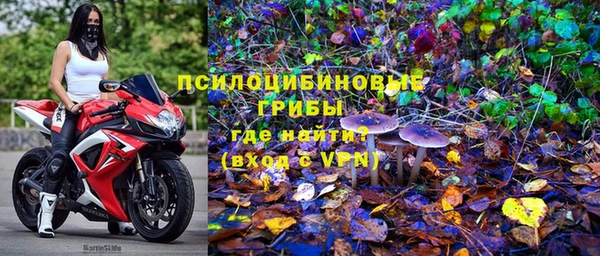 экстази Арсеньев