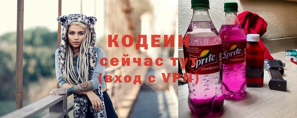 стафф Коряжма
