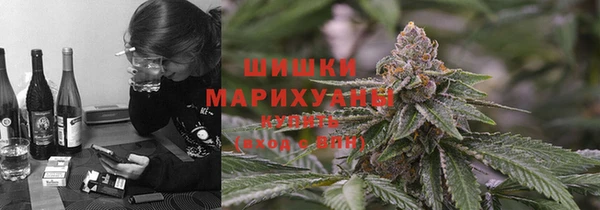 экстази Арсеньев