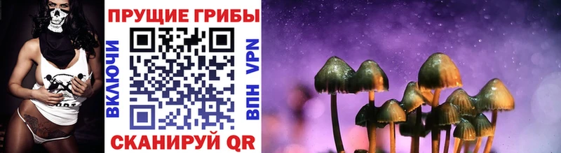 кракен ONION  Барыш  Галлюциногенные грибы ЛСД 